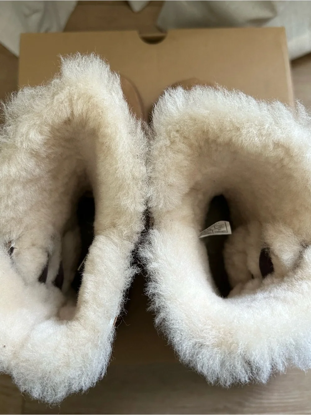 UGG classic suede
